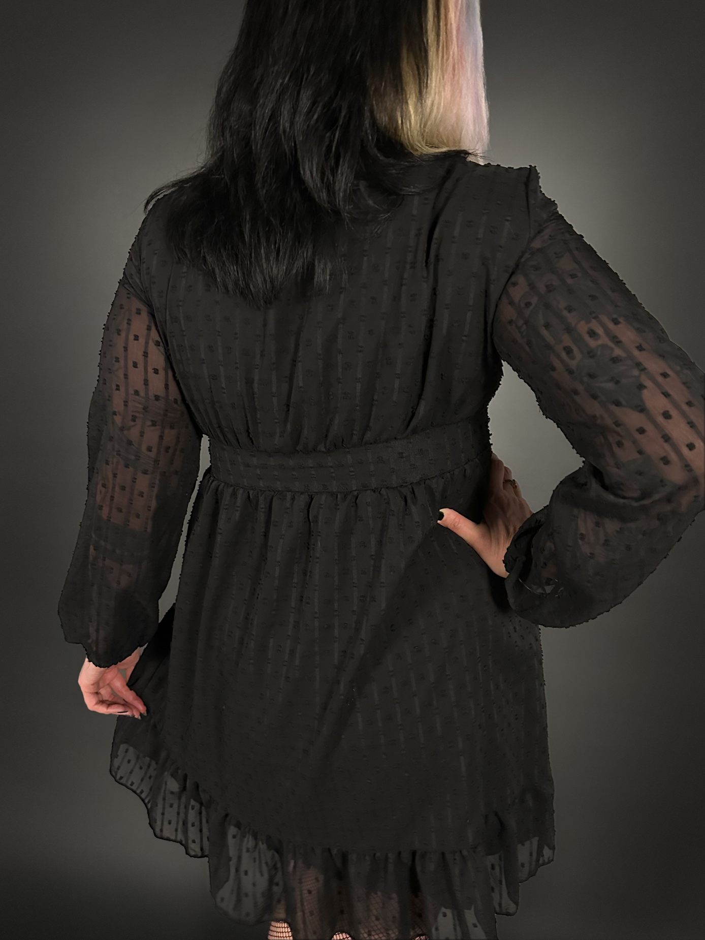 Long Sheer Sleeve Deep V Neck Swiss Dot Lined Dress in Black