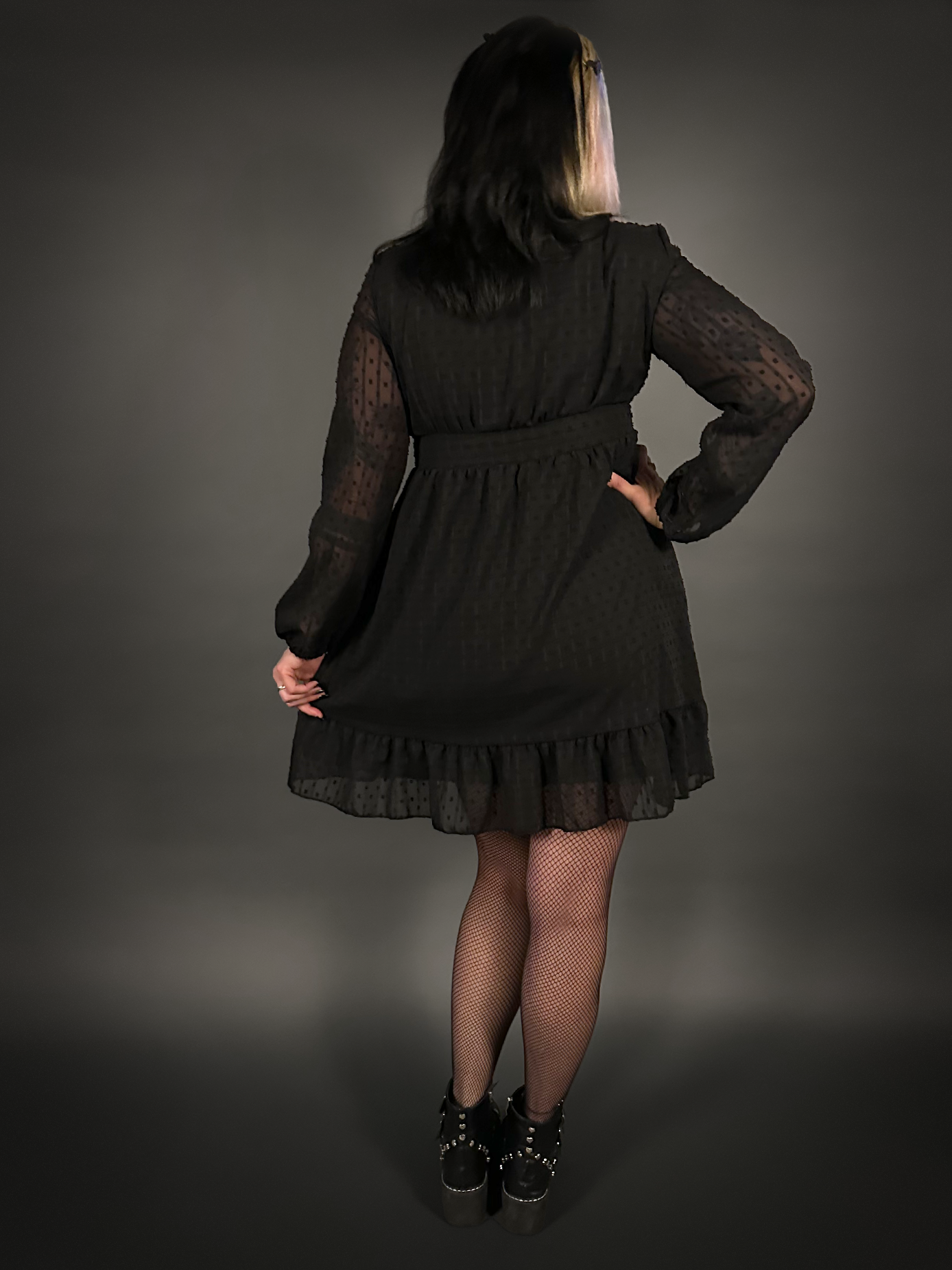 Long Sheer Sleeve Deep V Neck Swiss Dot Lined Dress in Black